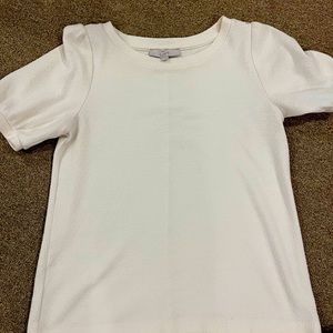 Loft Shirts